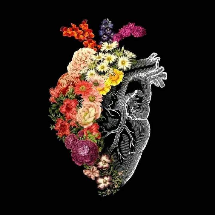 كلما اشتدت ظلمه الليل، ،اذدادت النجوم تالقا 
وكلما كان الشجن اعمق، ،كان الله أقرب
           اللهم حسن الخاتمة ي الله 
                  🤲⚘💖🤲