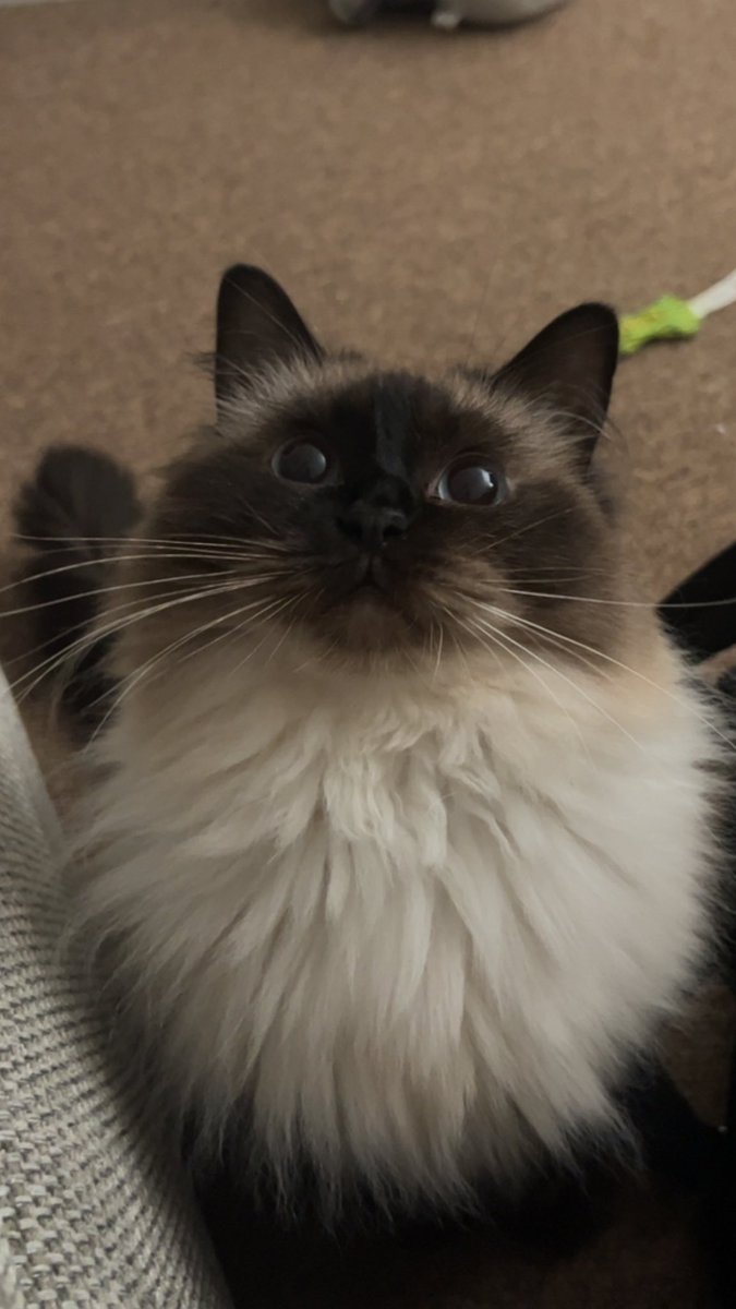 I simply do not understand how she is SO SWEET ?!?!?