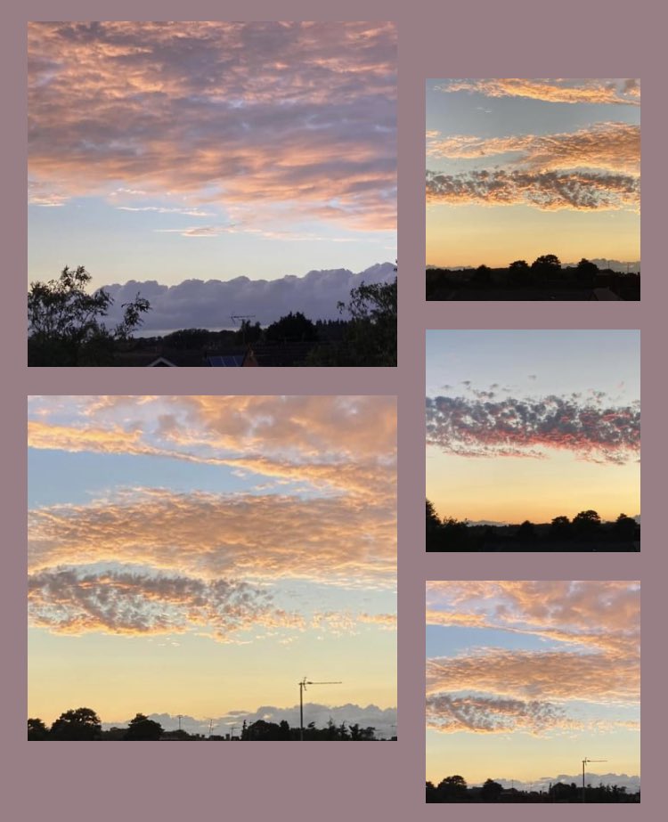 barbosavl's tweet image. Beautiful skies tonight with two types of clouds #sunsets #sky
#viewfromthetop