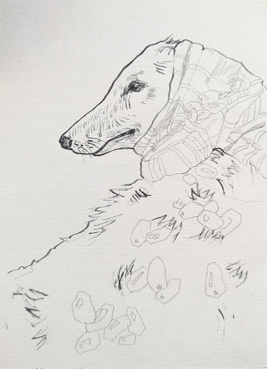 <a href="/EsperBorzoi/">Esper Borzoi</a> is my model today