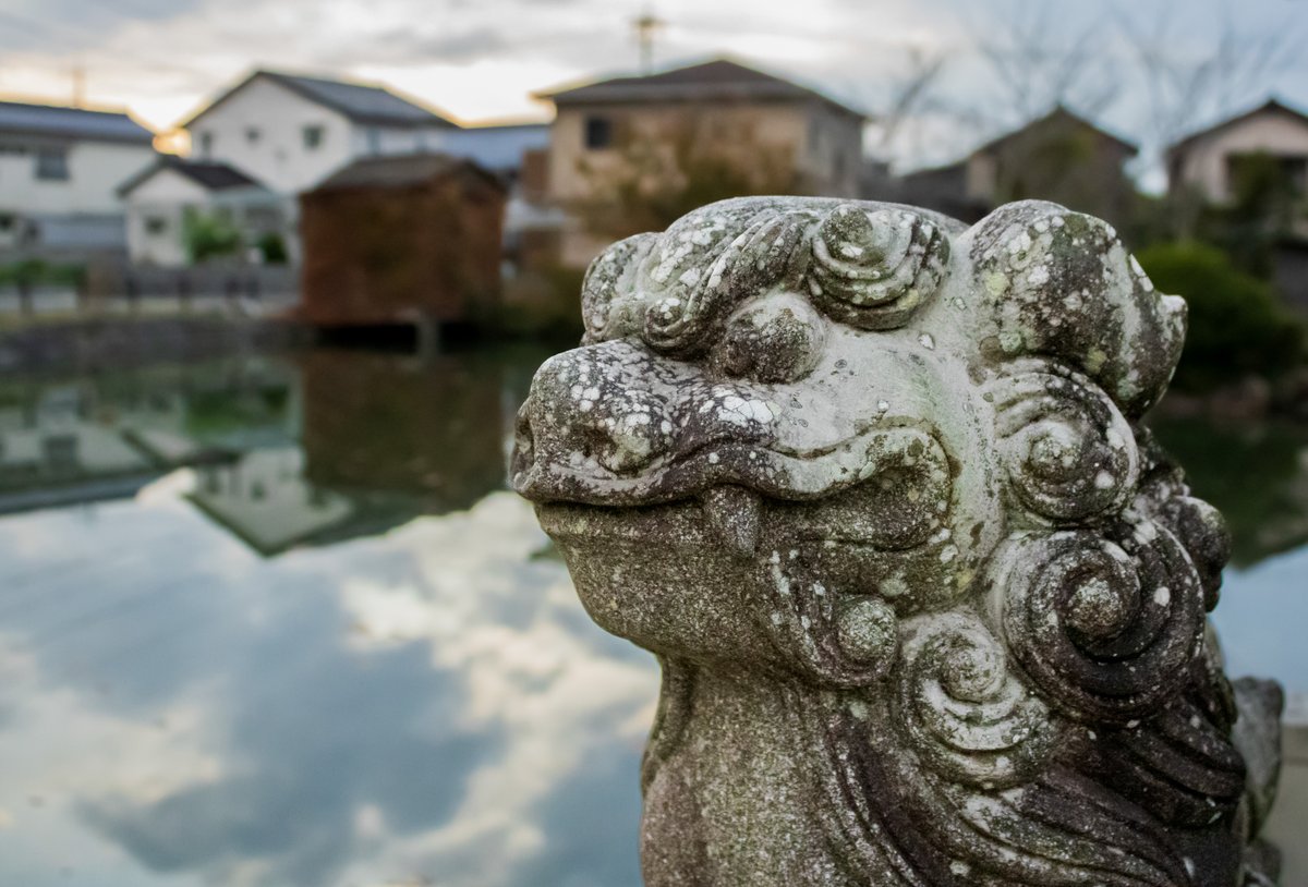 bokeido's tweet photo. 22/11/20 
Kibitsu Shrine 
吉備津神社
岡山市
Okayama, Japan https://t.co/ElobymGIwY
