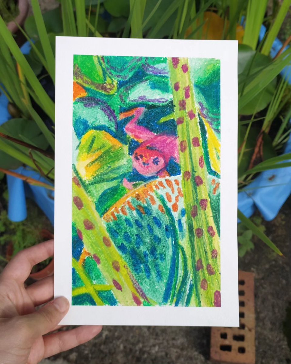 Justine_Pocket's tweet photo. Frog power 🐸

#artistontwittter 
#frog https://t.co/Vuaj9s2iw1