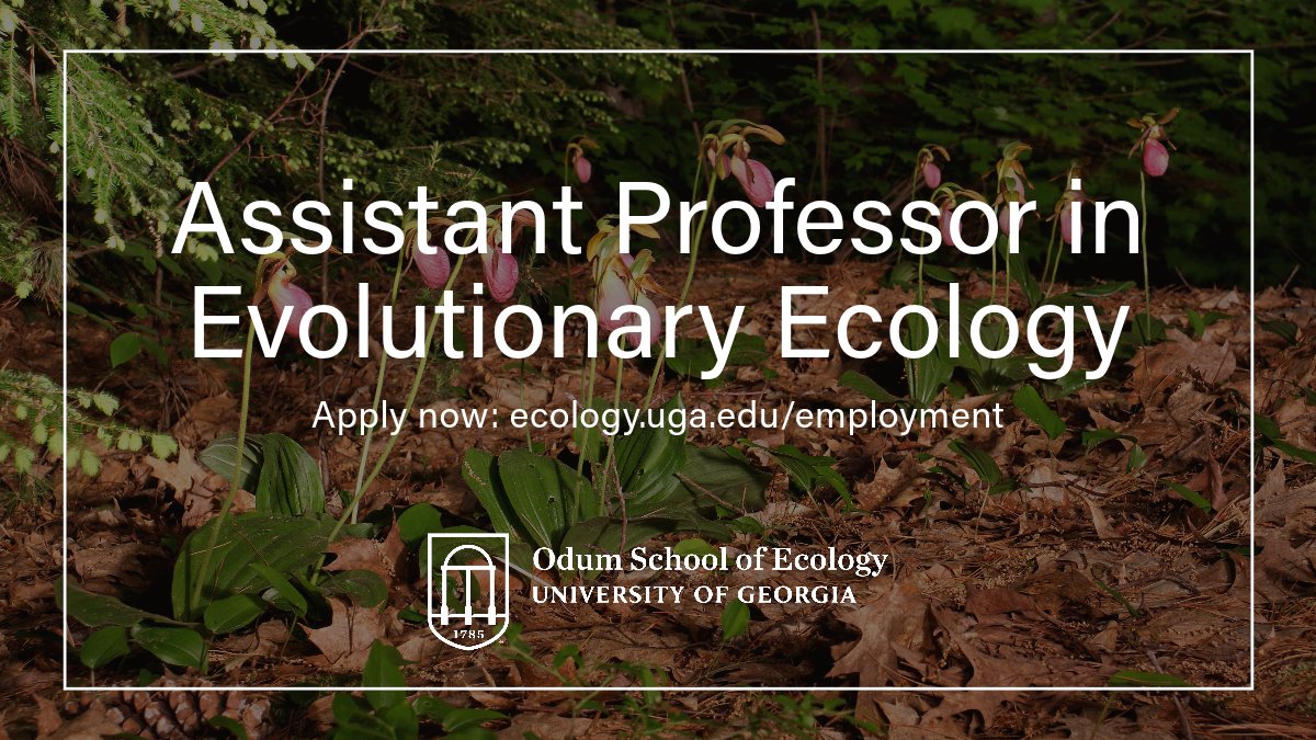 We're hiring! The Odum School seeks a tenure-track Assistant Professor in Evolutionary Ecology beginning Aug. 1, 2024. Seeking a colleague whose research addresses cutting-edge questions at the intersection of ecological and evolutionary processes. bit.ly/3qeXxYD