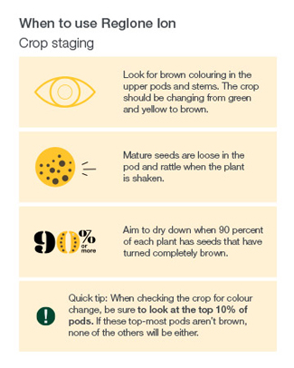 Desiccants such as Bolster II and Reglone Ion deliver quick and effective dry down of pulses and canola so you can get your crop in the bin. Aerial Application options available. Call your Local Prairie North Co-op Grow Team for more information.
#RootedInAgriculture #WeAreCoop