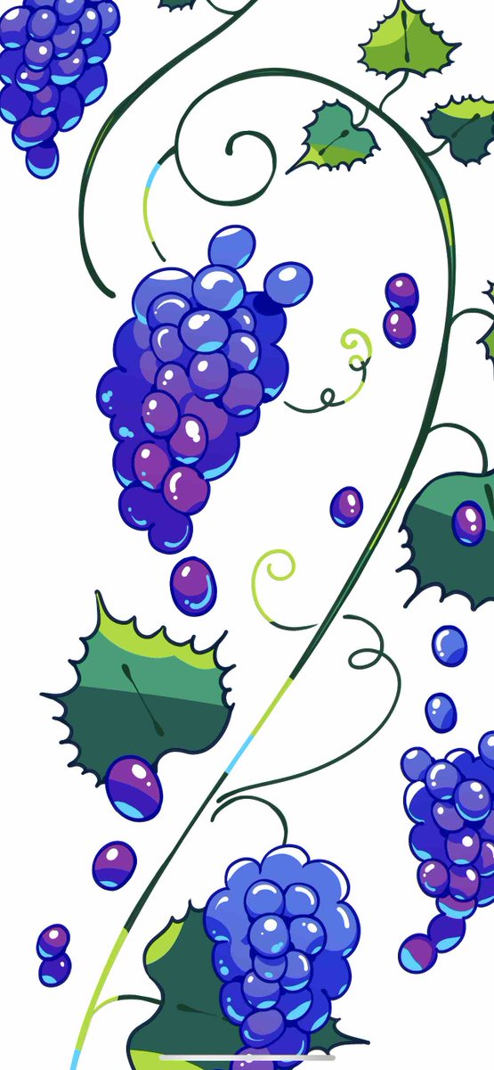 no humans food fruit leaf grapes white background simple background  illustration images