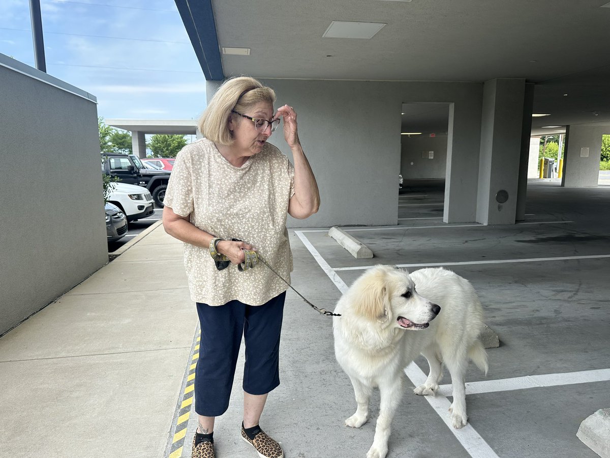 Matt Petrillo tweet media