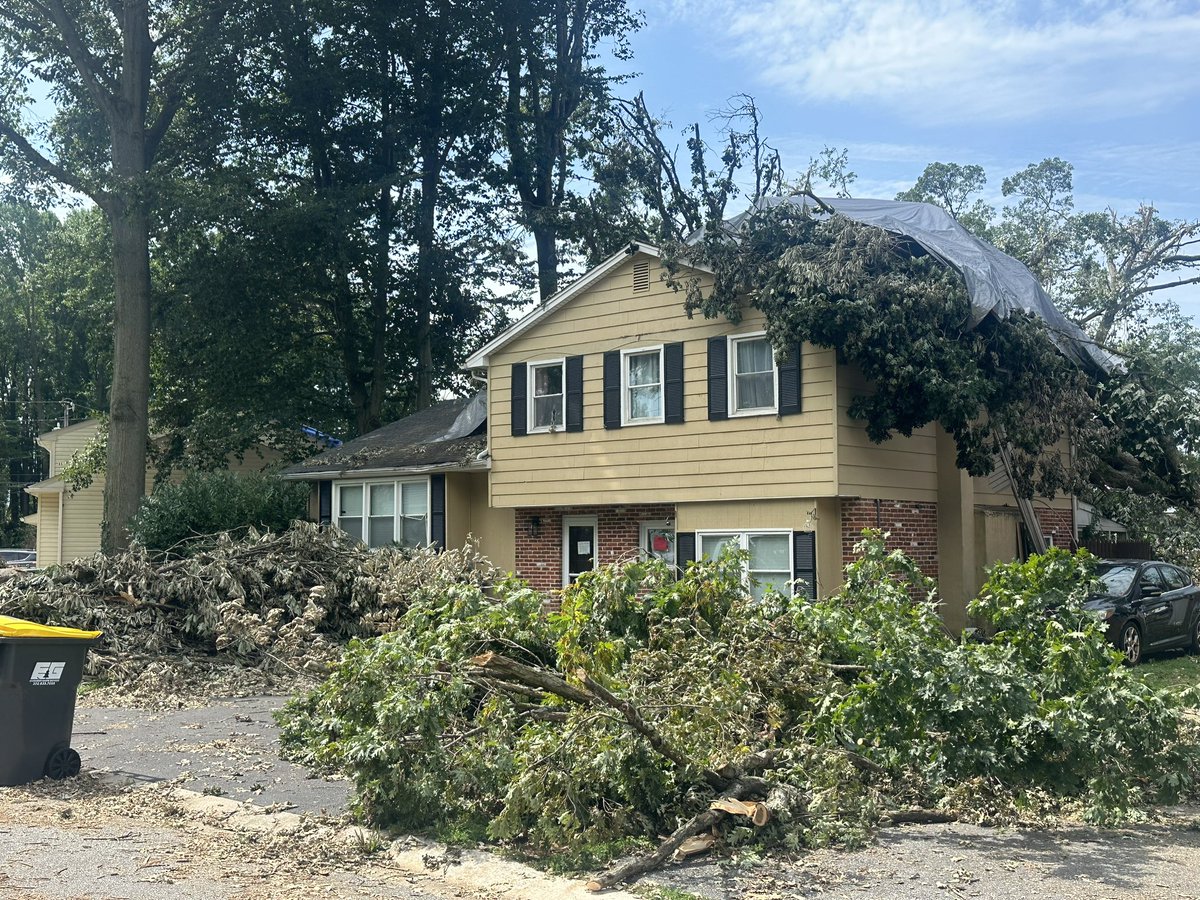 Matt Petrillo tweet media