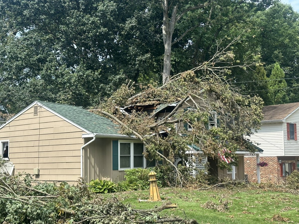 Matt Petrillo tweet media