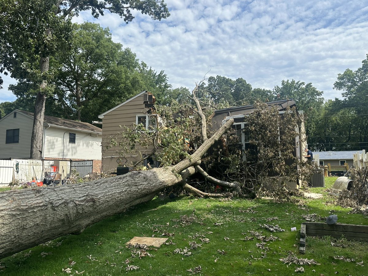 Matt Petrillo tweet media