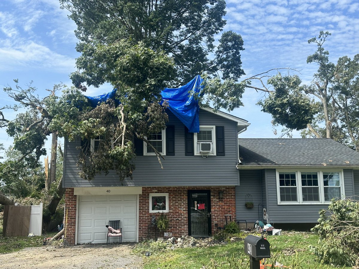 Matt Petrillo tweet media