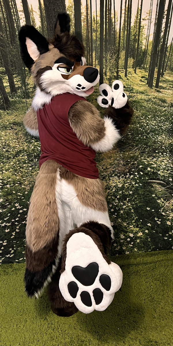 mixedcandy's tweet photo. Sonar Wuff 🐶 see him running around Denfur. Modeled by @starsentbeast #Mixedcandymonday https://t.co/knSXBWGrik