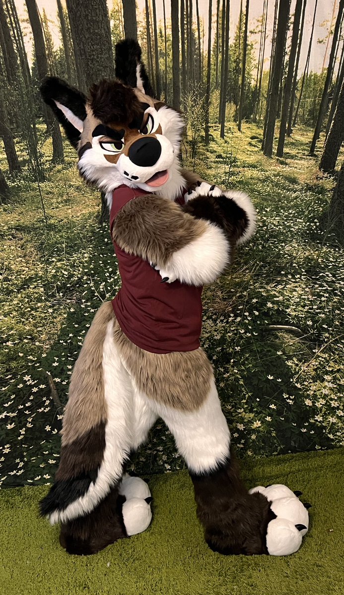 mixedcandy's tweet photo. Sonar Wuff 🐶 see him running around Denfur. Modeled by @starsentbeast #Mixedcandymonday https://t.co/knSXBWGrik