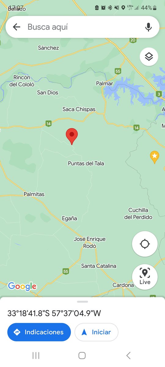 AlvaroNuezBalio's tweet photo. Retwitear
Se perdió Olivia en camino La Tabla Mercedes, tiene número de telefono en el collar. Retwitear Porfavor https://t.co/h1cIoCmcsT