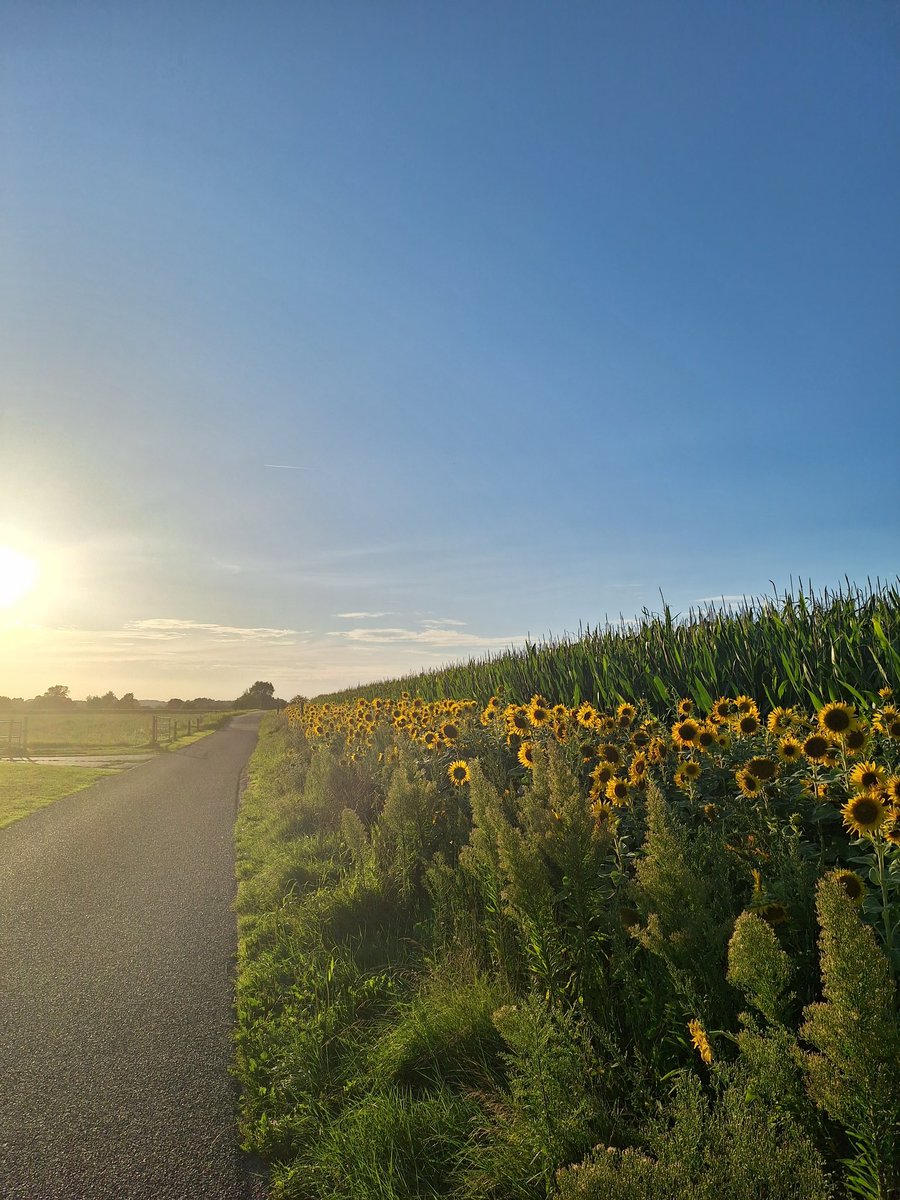 mijnKopjeKoffie's tweet photo. Prachtige avond om te wandelen met een "nieuwe" vriendin π₯°
#wandelen
#momfriend
#sunset
#Halo
#loveit https://t.co/DbPQexMQet