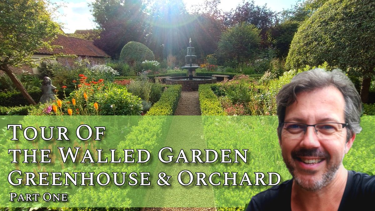 A tour of the Walled Garden, a shower of rain then a wander into the greenhouse to see what's going on! youtu.be/zf70XMui2J0 #gardenshour #gardening Follow my youtube channel if you enjoy gardening :-)