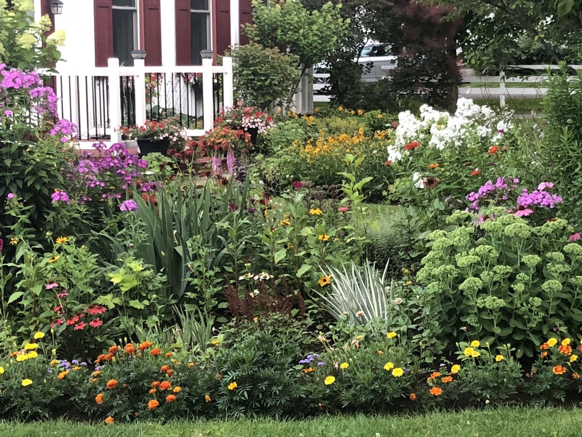Our gardens in full bloom.