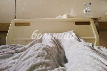 Asta_ritochka's tweet photo. Нууу https://t.co/K8nm0Zvg0O