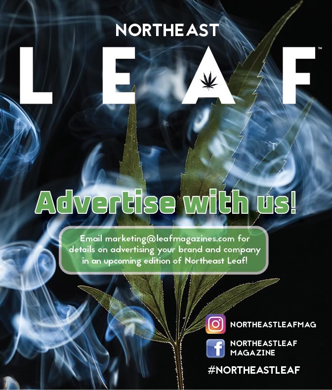 Northeast Leaf Magazine tweet media