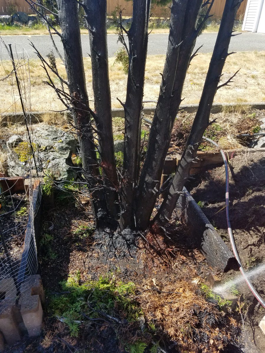 Earlier today, crews responded to a small brush fire involving a homeowner using a flame &amp; smoke device to deal w/ insects. We do not recommend these types of devices, especially during hot, dry weather. #Befirewise