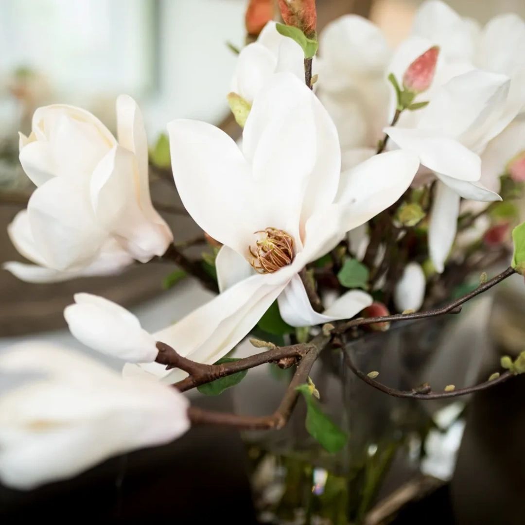 HomeLenore's tweet photo. Is your home lacking that special touch? At Lenore Frances Home Interiors, I'll work with you to transform your house into the home of your dreams -- detail by detail. ✨ Visit my website to get started.

https://t.co/lGTh7ois9J https://t.co/y9X0ldjOBh