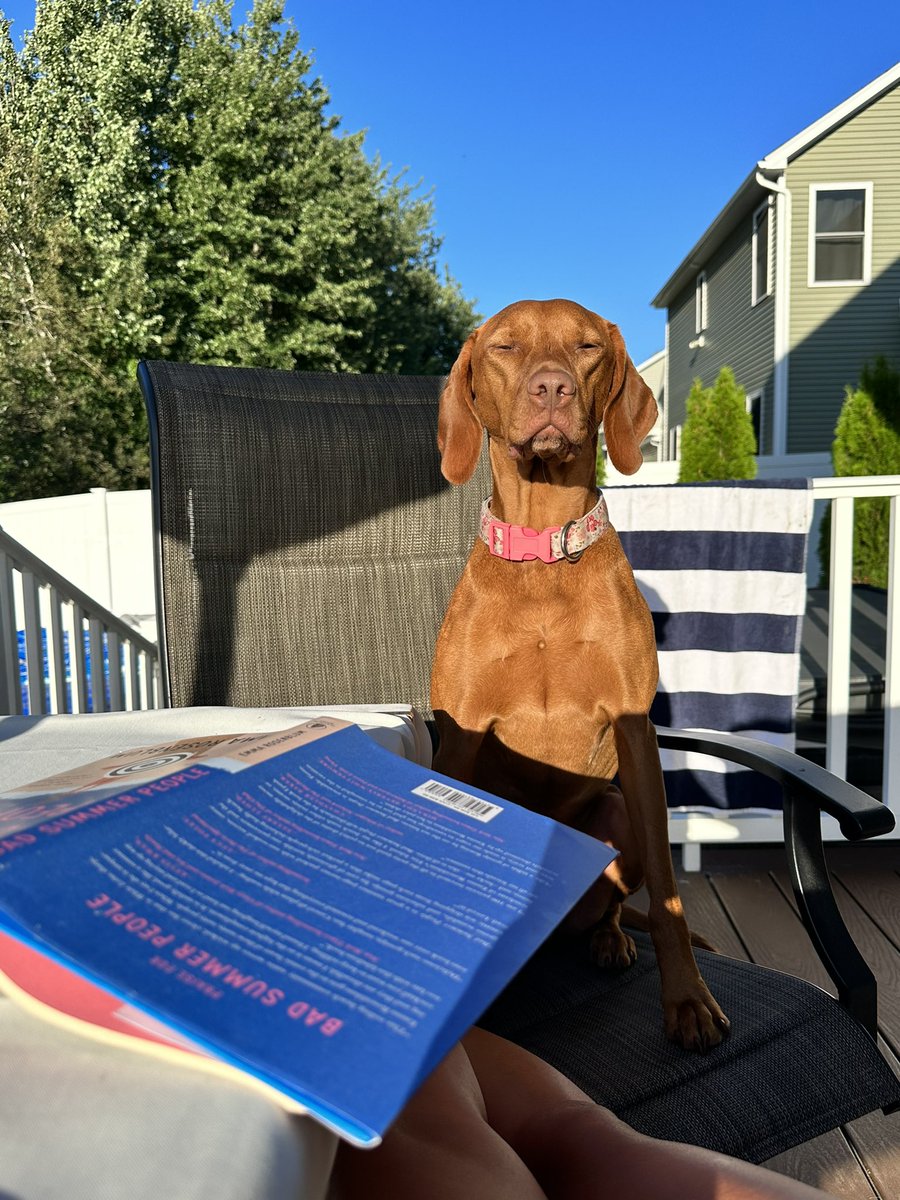 Ruby the Therapy Dog tweet media