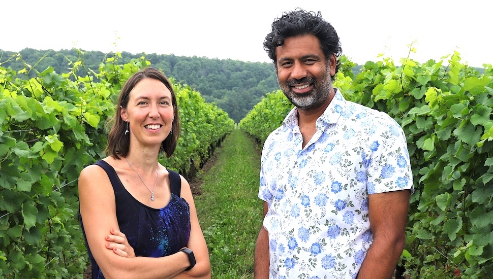 rickwine's tweet photo. New GM and new winemaker appointed at Beamsville Bench winery @MalivoireWine ... Full story on Wines in Niagara 
👉 https://t.co/HDFFxomUT6 https://t.co/eFUAmyOhCT