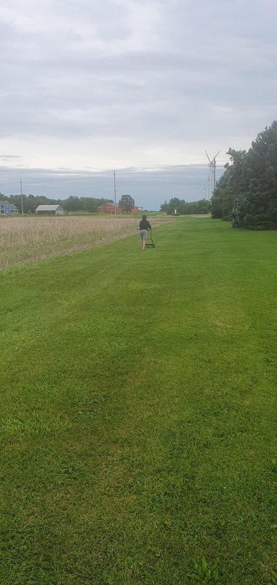 A little teaching moment today on the no motor push mower haha!! Start them young....