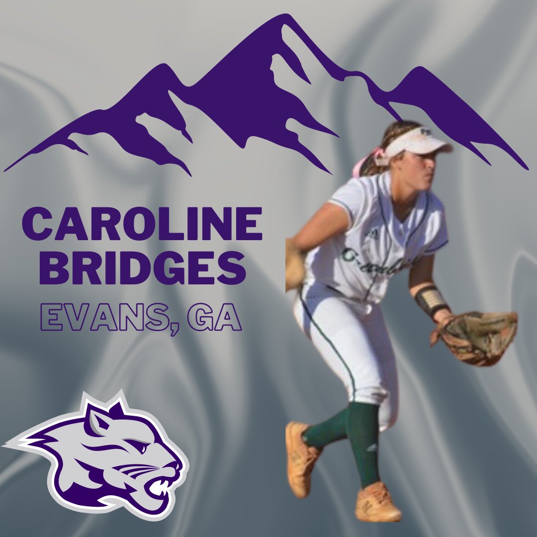 YHC Softball tweet media