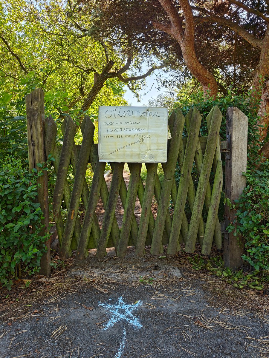 Thalia Verkade tweet media