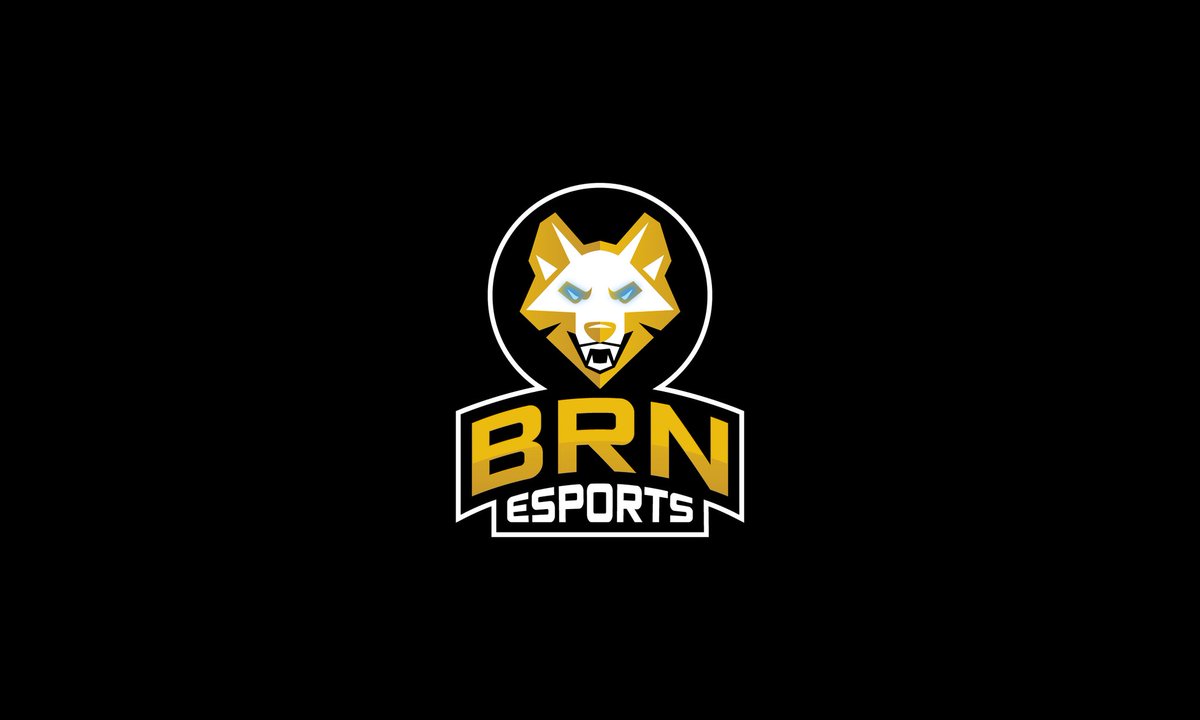 BRN eSports tweet media