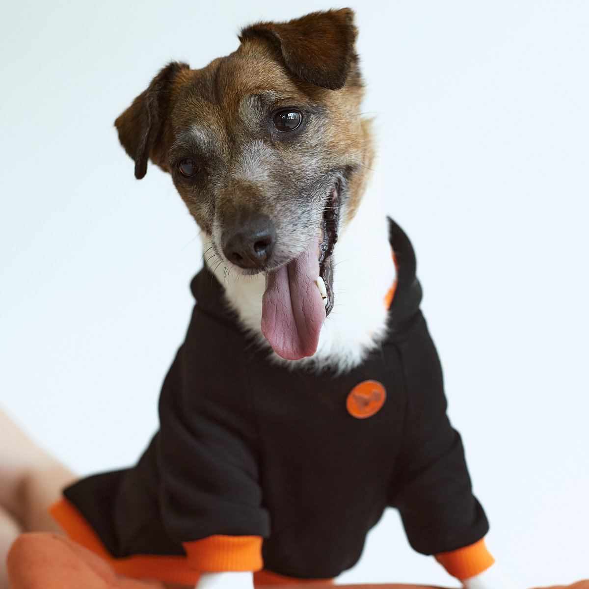 🟠Continental Ⓜ️Metacontinental tweet media