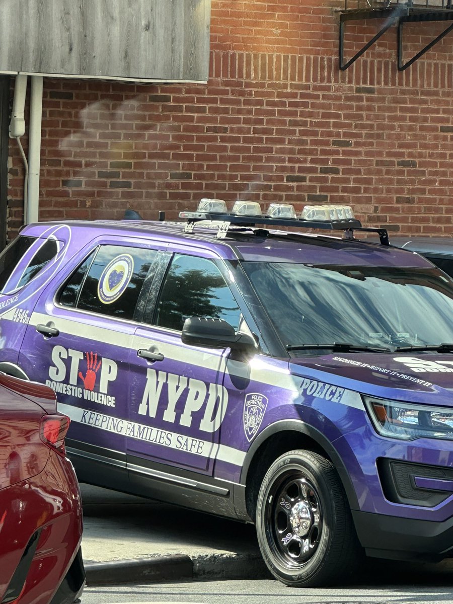 so the nypd actually rolled out all these new fleet vehicles for a domestic violence task force, replacing about 40% of the standard fleet vehicle. google 40% of police to find out more