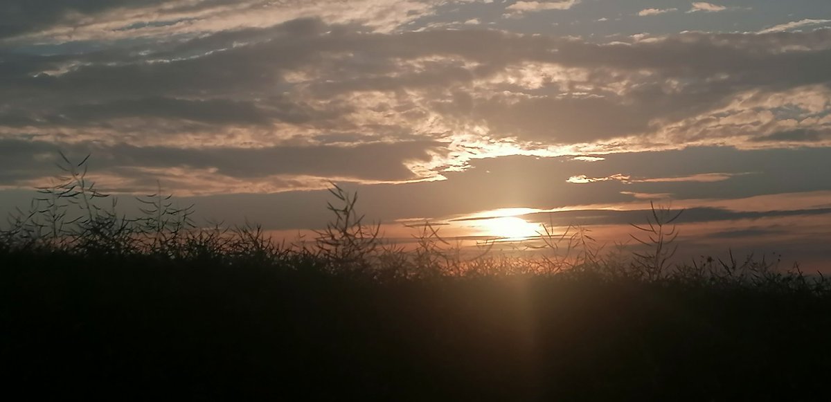 Simone63087579's tweet photo. For everyone who needs a moment to enjoy a sunset.
I love walking in the evening 😍 #walkingthedog #sunset  #x #goodnight https://t.co/hvwkBUY5mq