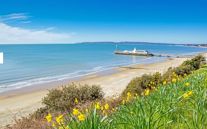 Lasantha Wijesinghe tweet media