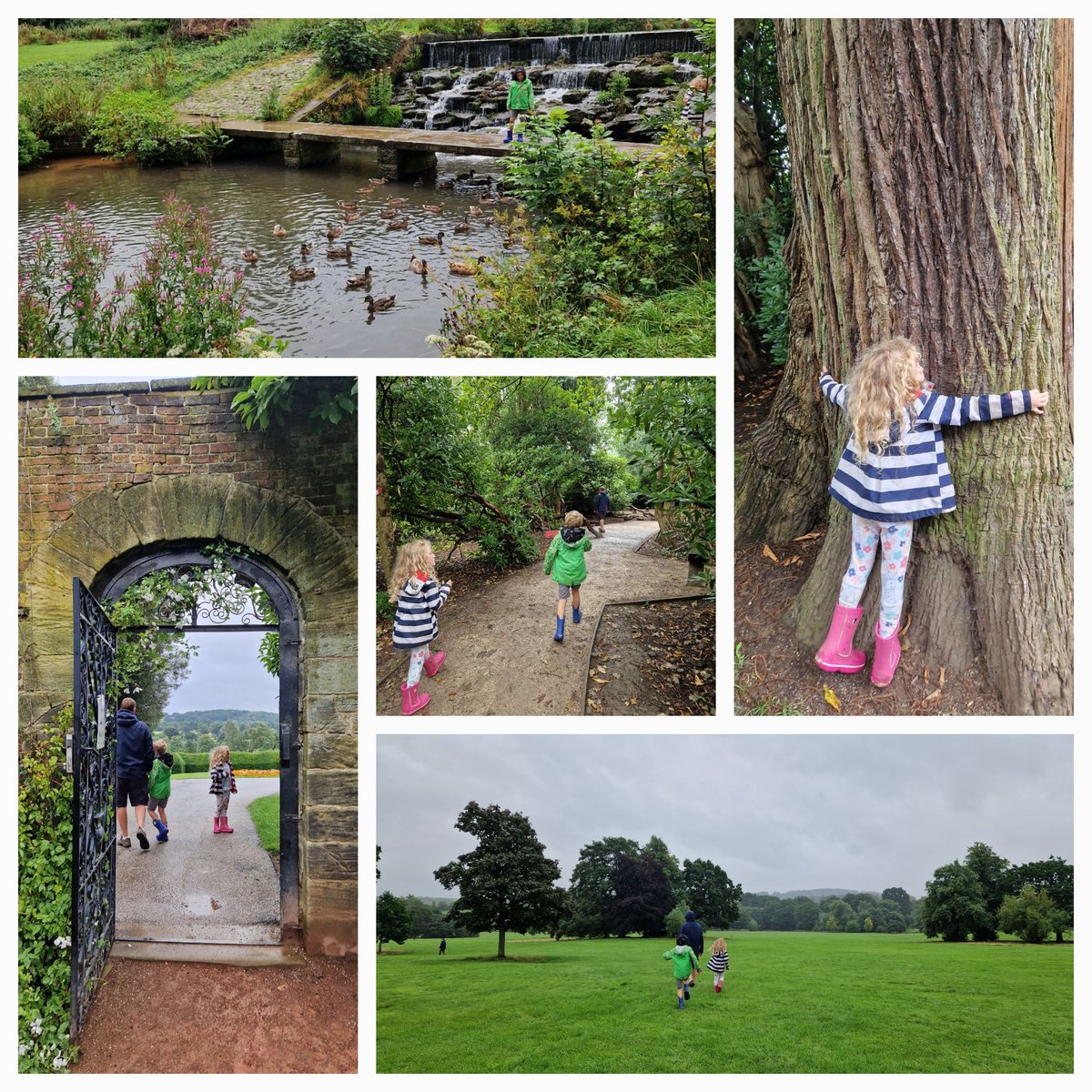 KatieEllisSheff's tweet photo. Day 14 #WeActiveChallenge for #AHPsActive Lovely walk, showers and a bit of sunshine. Tree hugs and woodland picnics.
#notmadeofsugar https://t.co/yolx4wwewa