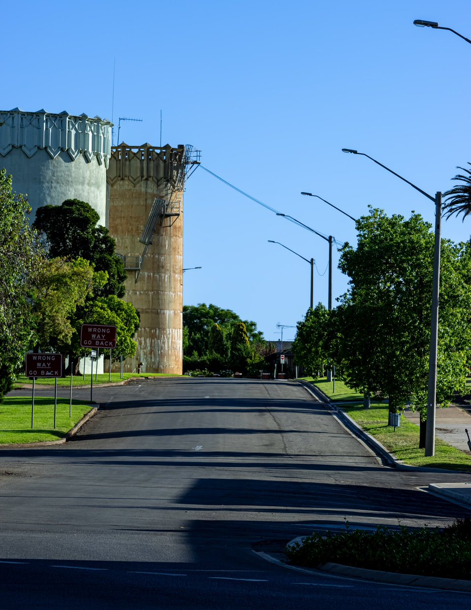 A few home town photos. #photography #leeton #spider #smalltown #australia