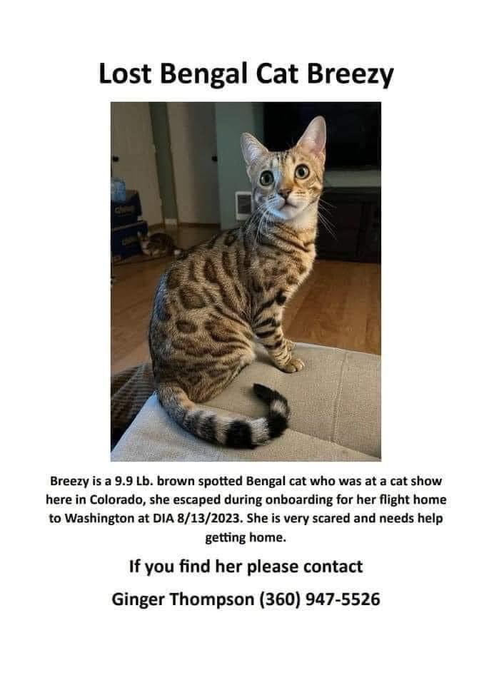 THEamberadams's tweet photo. #HELPFINDBREEZY https://t.co/7wDmpEAevt