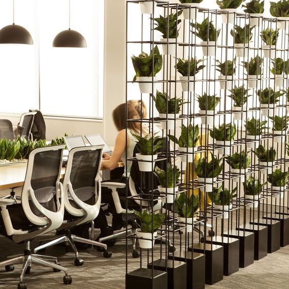 Alwatadsa's tweet photo. في #بيئة_العمل والمكاتب من الضروري أن تكون تحتوي على عناصر نباتيه ونوافذ أو مساحات زجاجيه تسمح بدخول الشمس.

#تصميم_داخلي | #ديكور #الوتد #تصميم_خارجي #تنفيذ #اشراف #مقاولات https://t.co/vQNtPQJfej