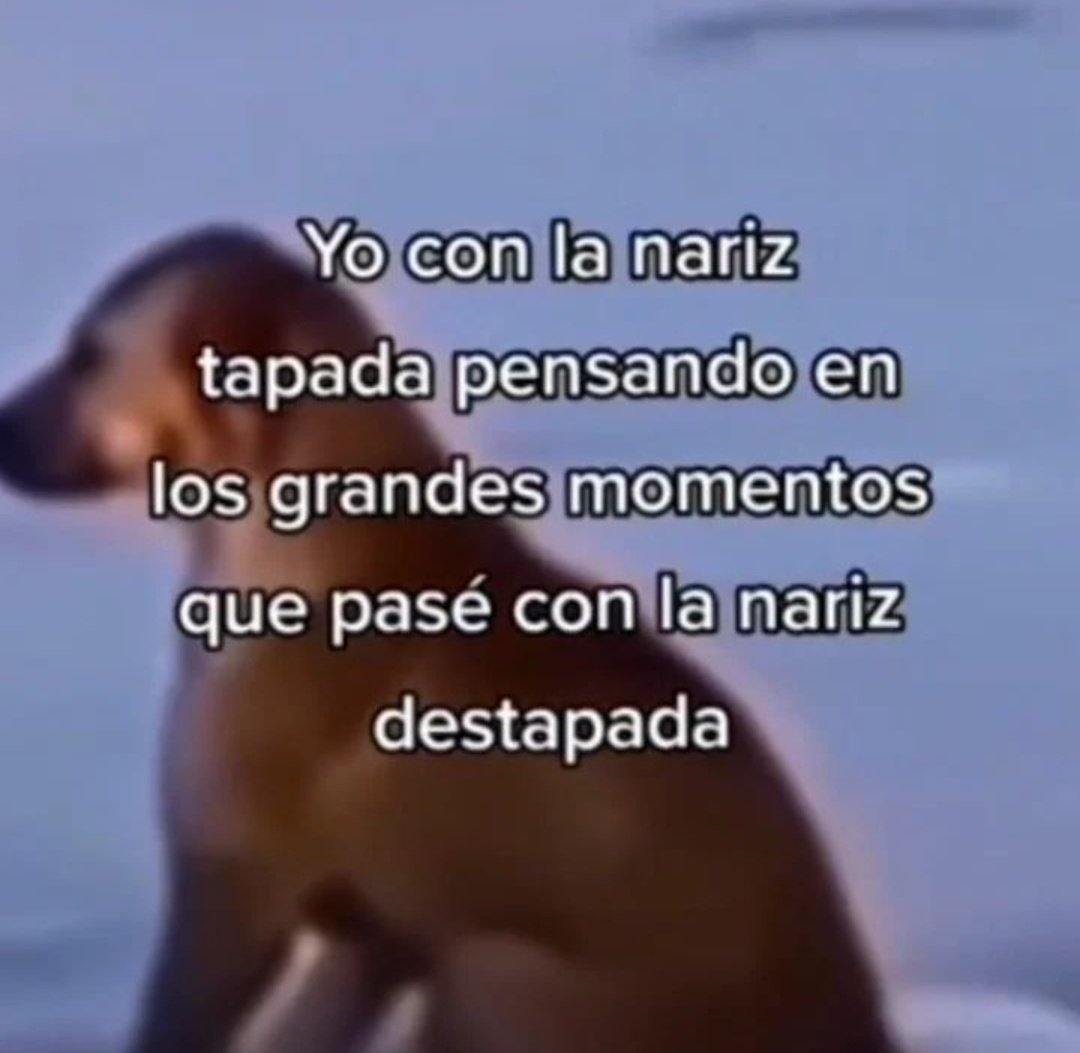 memes feos yo qué sé (@memefeos) on Twitter photo 