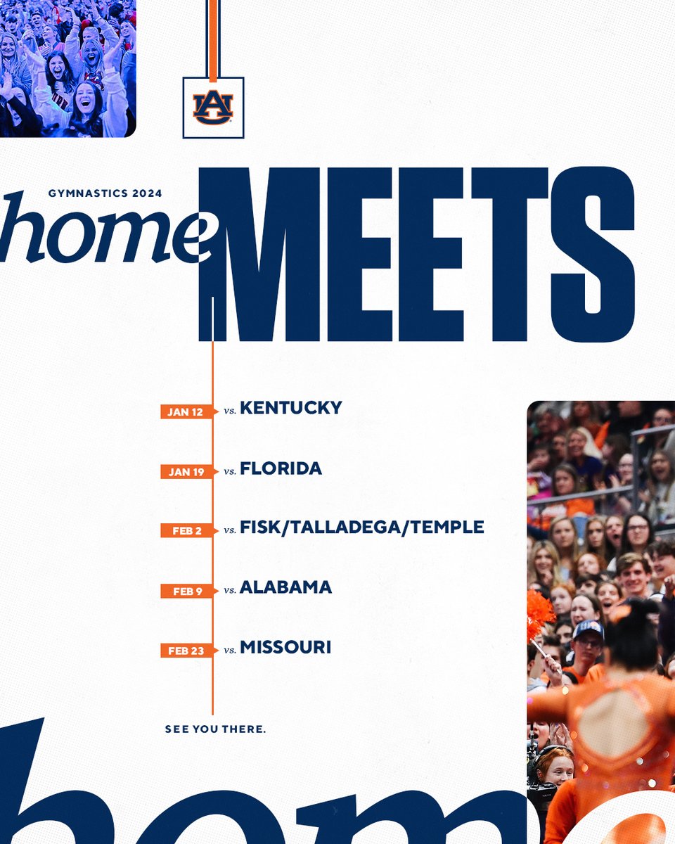 Auburn Gymnastics tweet media