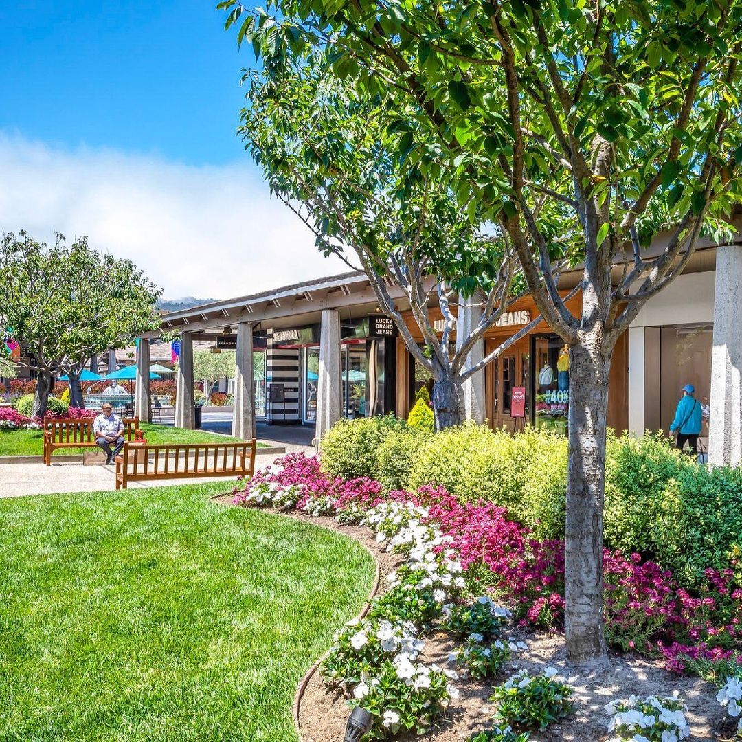 ShopDelMonte's tweet photo. Stay in the know at #DelMonteCenter by joining our exclusive e-club today! 🌟🛍️ Sign up for your personal profile and get access to hot deals, special promotions and information about our upcoming events: https://t.co/csqijLtPMD https://t.co/vZsHoVgSuu