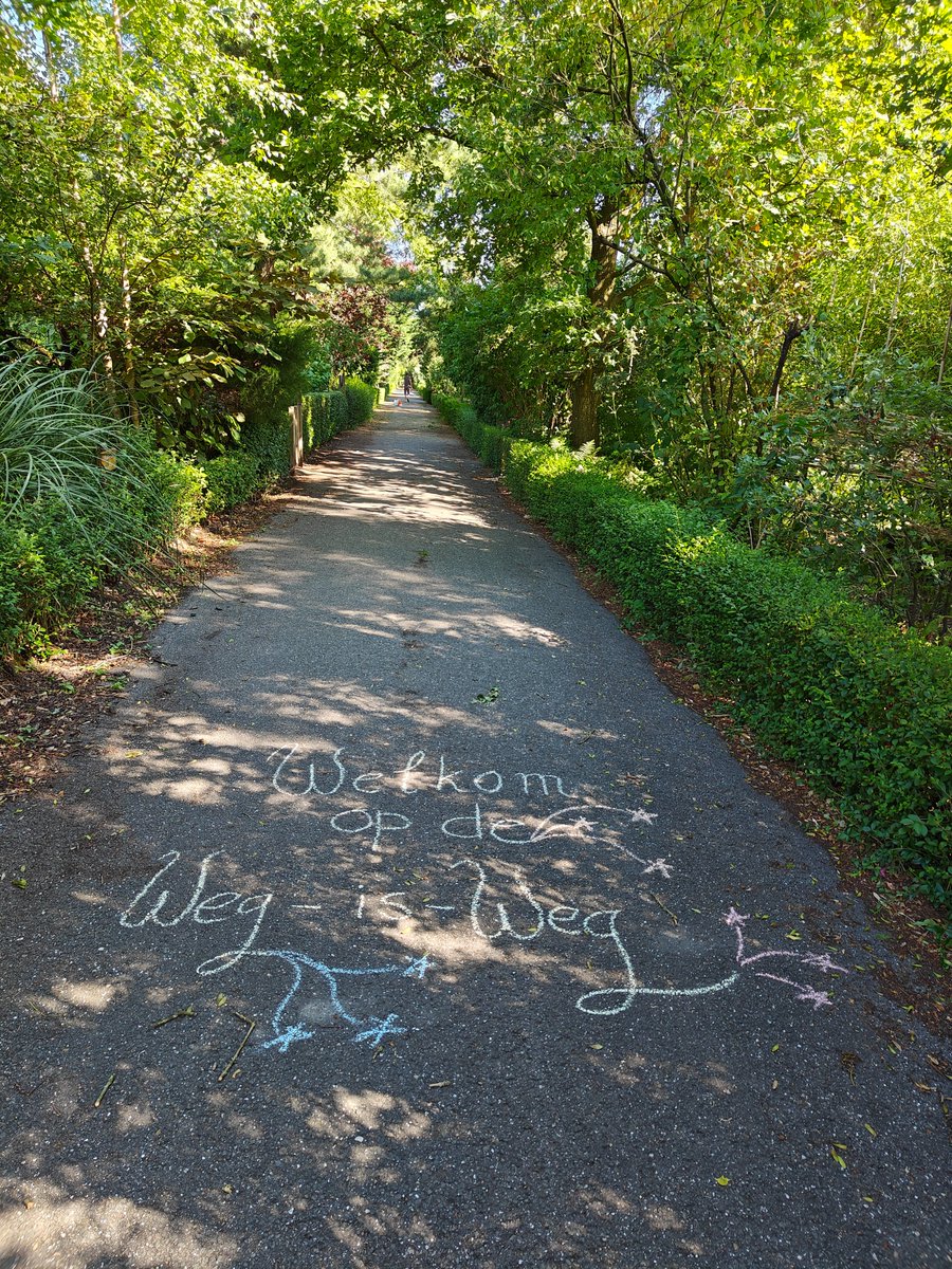 Thalia Verkade tweet media