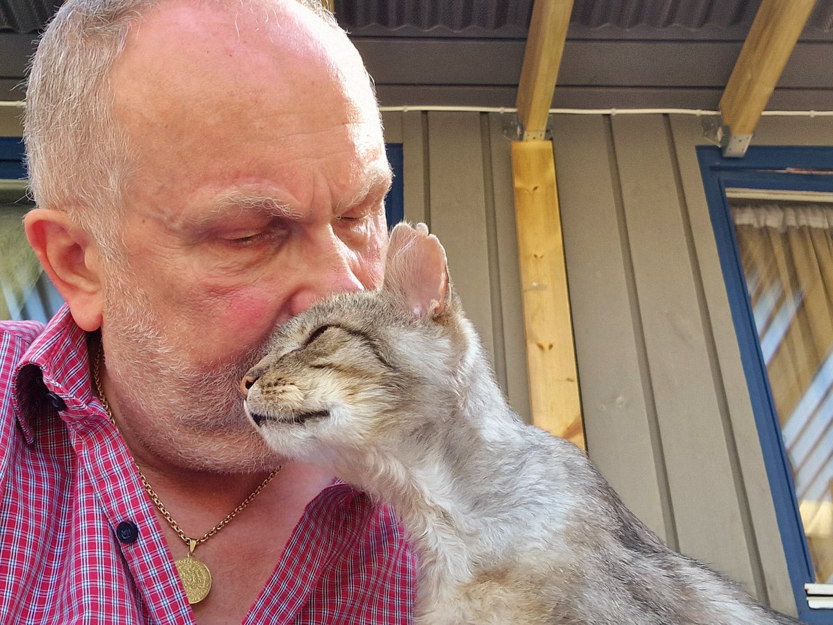 You know I love you Dad, rescued Knight Shanza meows💞