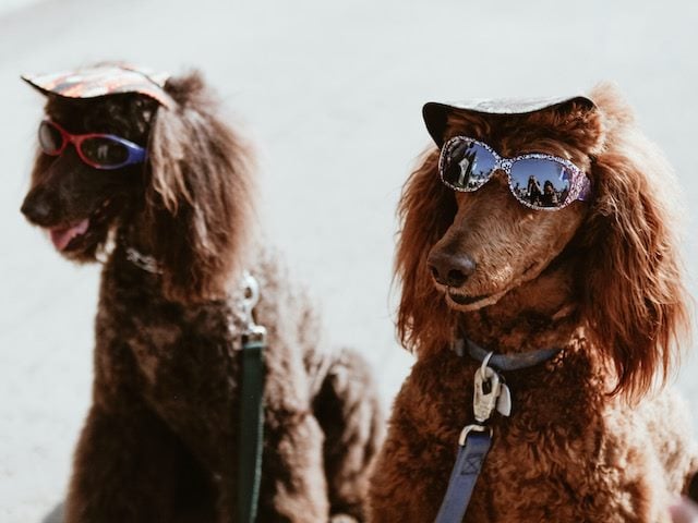Brice Dunwoodie (@bdunwood) on Twitter photo Generative AI Is Cool, But It Isn't Corporate (Yet) by <a href="/waynaldo82/">Wayne Butterfield</a> #digitalworkplace reworked.co/digital-workpl… Generative AI Is Cool, But It Isn't Corporate (Yet) by <a href="/waynaldo82/">Wayne Butterfield</a> #digitalworkplace reworked.co/digital-workpl…