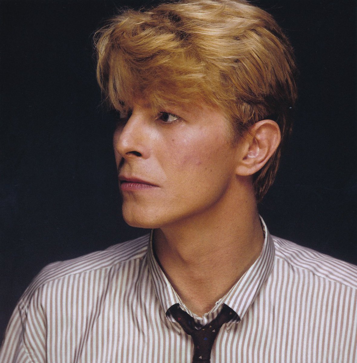 davidbowie_news's tweet image. David Bowie, 1982, by Greg Gorman.