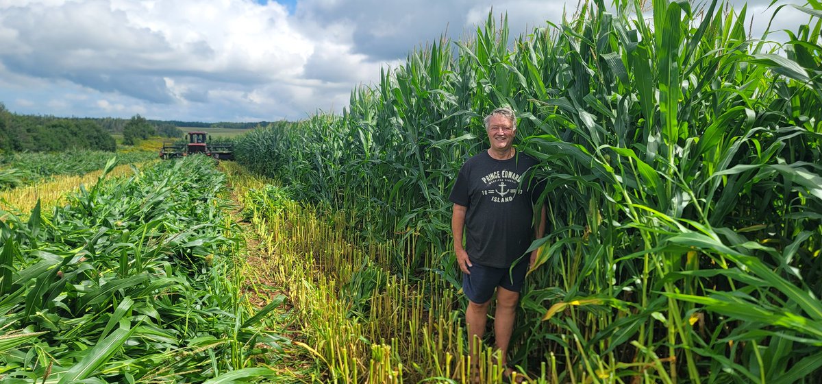 HenryNyhof's tweet photo. Corn harvest has started here. #mastergraze being chopped Thursday https://t.co/V7A1JGJsu8