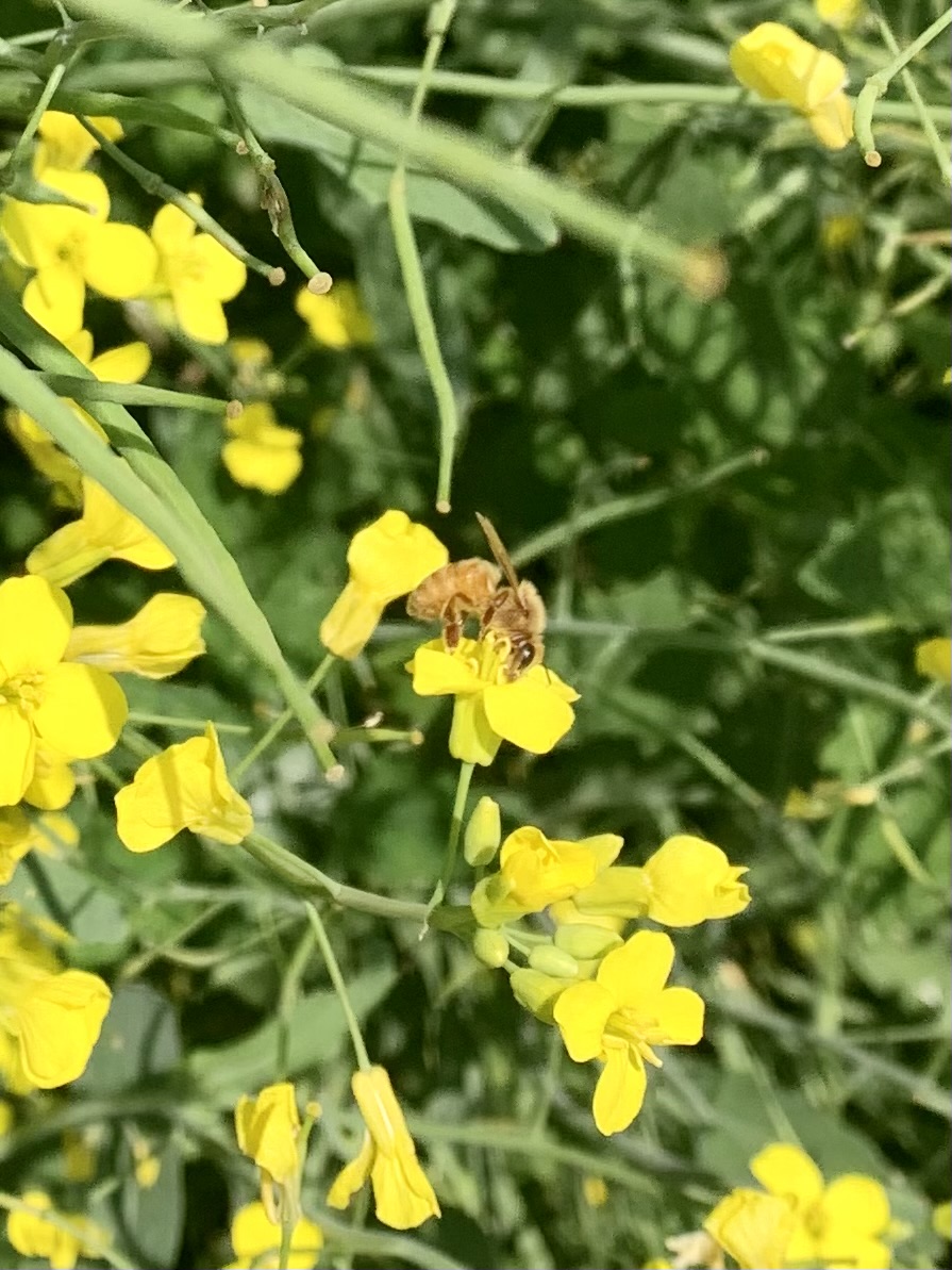 Fall Line Capital tweet media