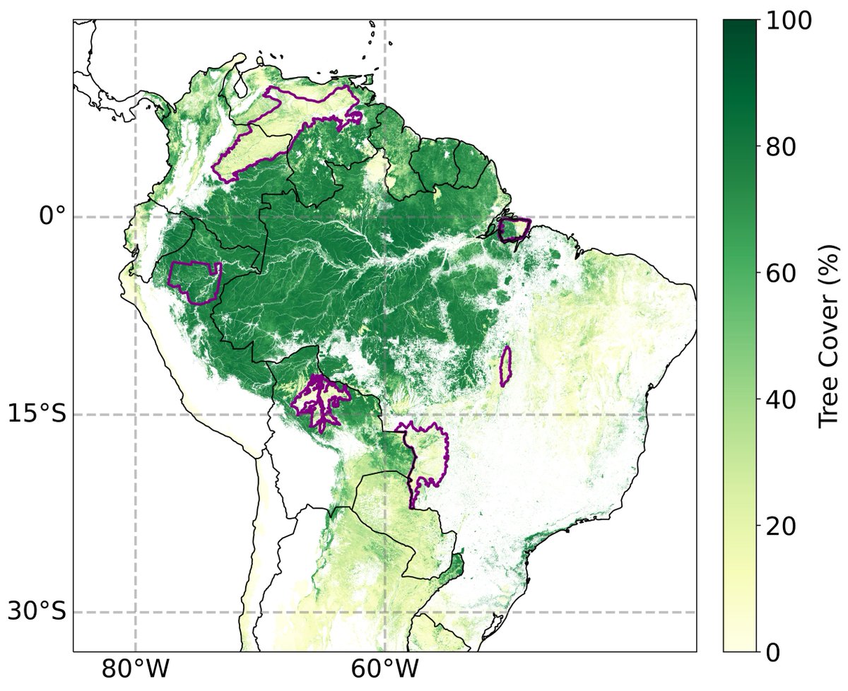 🌳🔍 Exciting insights from our latest study in @PNASNews! We've delved 'underground' into the dynamics of forests and savannas, looking at the role of the water table in shaping these environments. Curious about our findings? Let's dive in! 🧵buff.ly/3qoOO6u 1/5