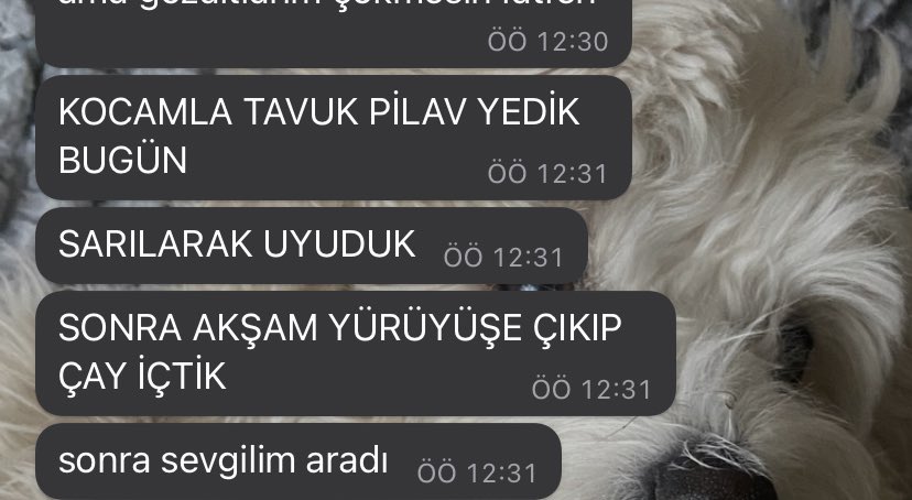 sizde haklısınız beyler