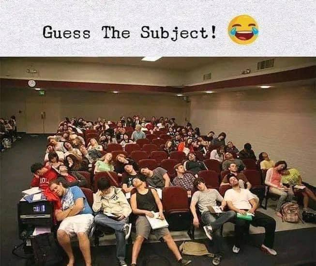 Viviana Muci tweet media